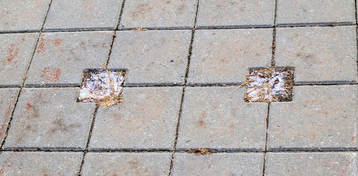 Close up shot of inter lock brick, frost and soil between them