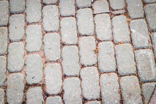 Close up shot of inter lock brick, frost and soil between them