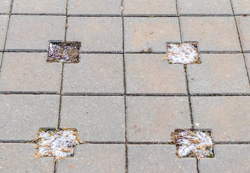 Close up shot of inter lock brick, frost and soil between them