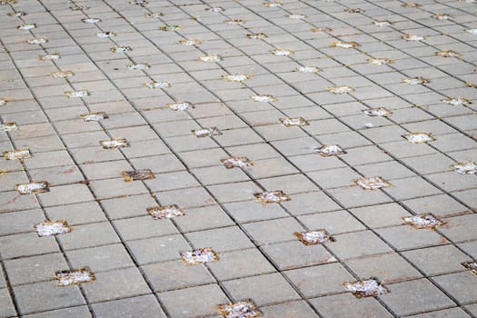 Close up shot of inter lock brick, frost and soil between them