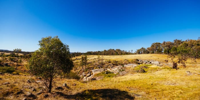 BEECHWORTH, AUSTRALIA - JANUARY 1 2025: Famous Flat Rock and landscape near Beechworth in Beechworth Historic Park in Australia on January 1st, 2025