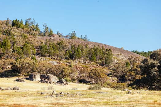 BEECHWORTH, AUSTRALIA - JANUARY 1 2025: Famous Flat Rock and landscape near Beechworth in Beechworth Historic Park in Australia on January 1st, 2025