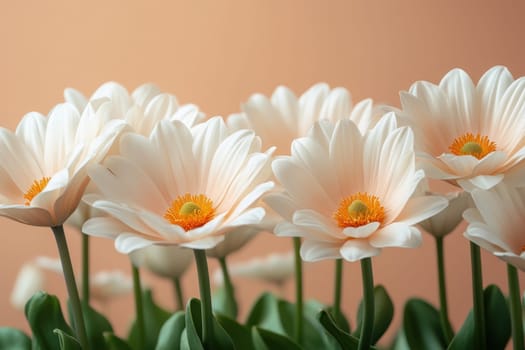 Background of wildflowers, plants. Background with flowers.