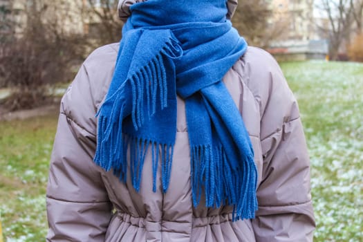 A person wears a cozy blue scarf and puffer jacket while enjoying a cold winter day in a park with light snow.