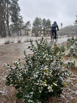The first snow has fallen on the plants that are still green