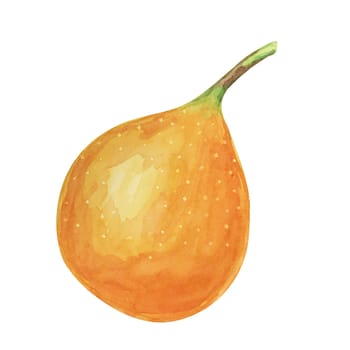 Whole orange sweet granadilla. Yellow passion fruit watercolor illustration. Maracuja clipart perfect for botanical illustrations, natural product packaging, or tropical-themed designs.