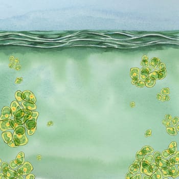 Chlorella algae watercolor clipart displaying green clusters floating in clear water, ideal for health and wellness designs. Use in educational illustrations, product packaging, and environmental campaigns
