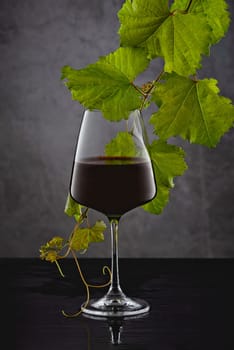 Glass with red wine for tasting with fresh green leaf.