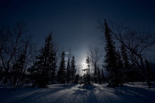 beautiful arctic winter landscape, very cold climate,