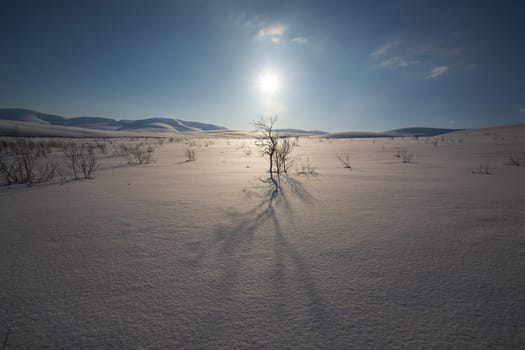 beautiful arctic winter landscape with snowy forest in the background, blue sky and sun setting on the horizon. cold climate