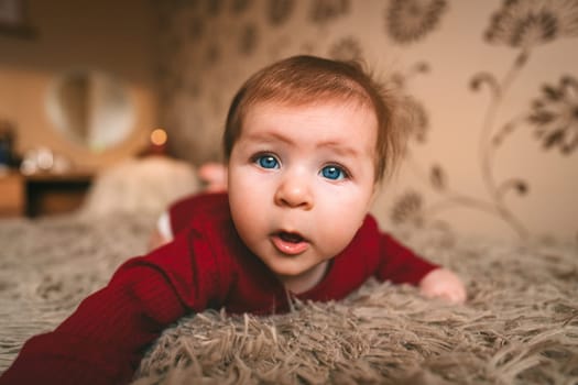 Blue-eyed baby girl in red clothes close up crawling on bed. Adorable kid portrait. 5 month old child. Childhood concept. High quality photo