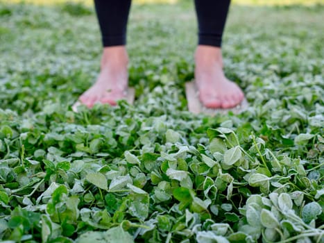 A barefoot woman stands on nails sadha board among the grass. Spiritual practice meditation in nature. Close-up