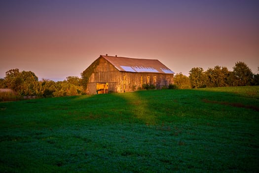 Tobacco hanging in a barn highlighted by the setting sun.