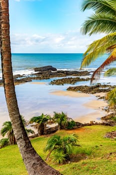 Rocky beach among the coconut trees and vegetation of Serra Grande on the coast of Bahia