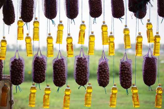 Sunflower oil and potatoes are sold at the agricultural fair. The goods are beautifully hung on ropes.