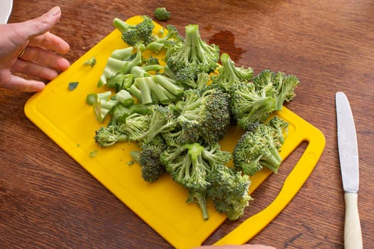Hands cutting broccoli cabbage. Healthy green vegetables.