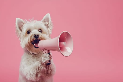 A small dog with fluffy fur is holding a pink megaphone in its mouth, conveying an adorable message against a vibrant pink background.