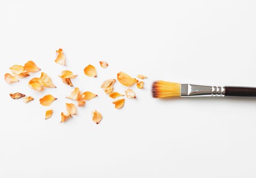 A brush lies next to scattered dried orange petals on a white backdrop, showcasing a creative workspace or craft activity.