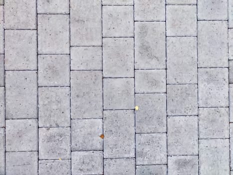 Concrete pavers form a uniform, structured path with a few scattered leaves.
