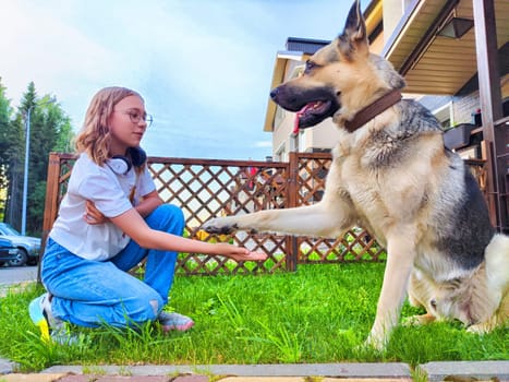 A girl kneels on grass, encouraging her German shepherd to shake hands while enjoying a pleasant afternoon outdoors.