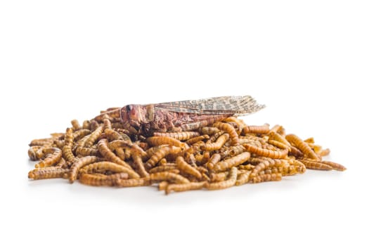 Dried salted worms. Roasted mealworms and grasshopper isolated on a white background.