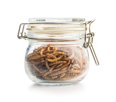 Dried salted worms. Roasted mealworms in jar isolated on a white background.