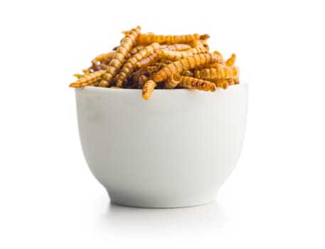 Dried salted worms. Roasted mealworms in bowl isolated on a white background.