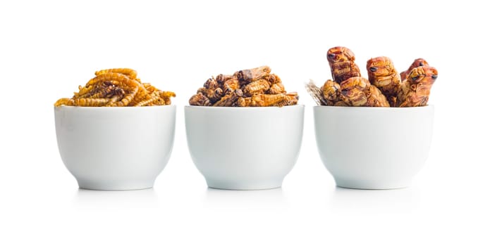 Dried salted insect. Mealworms, grasshoppers and crickets in bowl isolated on a white background.