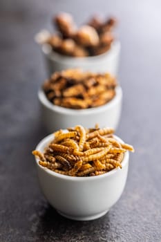 Dried salted worms. Roasted mealworms in bowl on a black table.