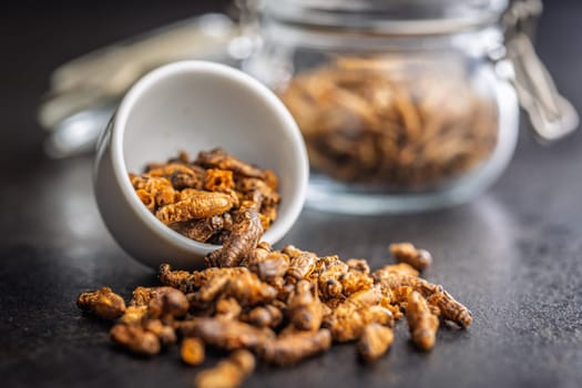Dried salted insect. Roasted crickets on a black table.