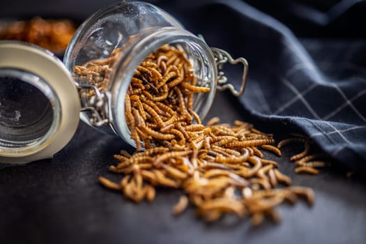 Dried salted worms. Roasted mealworms in jar on a black table.