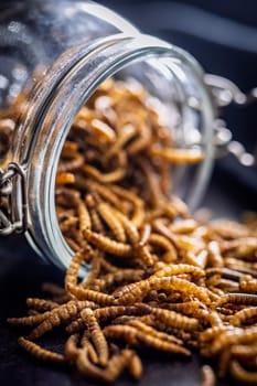 Dried salted worms. Roasted mealworms in jar on a black table.