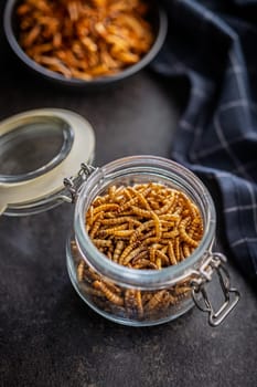 Dried salted worms. Roasted mealworms in jar on a black table.