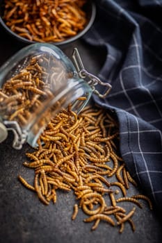 Dried salted worms. Roasted mealworms in jar on a black table.