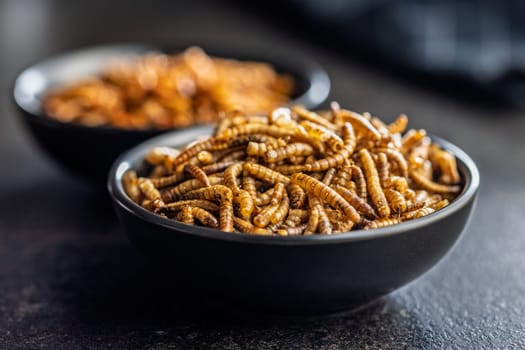 Dried salted worms. Roasted mealworms in bowl on a black table.