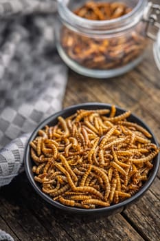 Dried salted worms. Roasted mealworms in bowl on a wooden table.