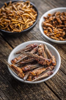 Dried salted insect. Roasted grasshoppers in bowl on a wooden table.