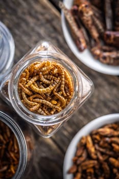 Dried salted worms. Roasted mealworms in jar on a wooden table. Top view.