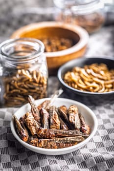 Dried salted insect. Roasted grasshoppers in a bowl.