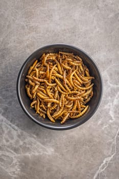 Dried salted worms. Roasted mealworms in bowl on a kitchen table.