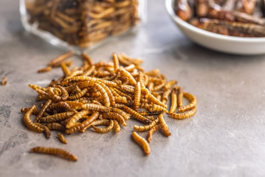 Dried salted worms. Roasted mealworms on a kitchen table.