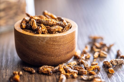 Dried salted insect. Roasted crickets in bowl on a wooden table.