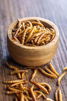 Dried salted worms. Roasted mealworms in bowl on a wooden table.