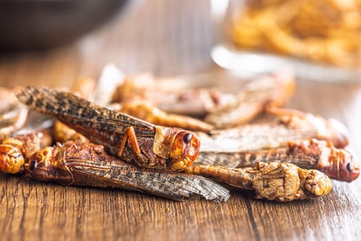 Dried salted insect. Roasted grasshoppers on a wooden table.