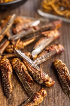 Dried salted insect. Roasted grasshoppers on a wooden table.