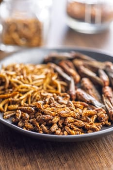 Dried salted insect. Mealworms, grasshoppers and crickets on plate on a wooden table.