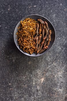 Dried salted insect. Mealworms, grasshoppers and crickets on plate on a black table. Top view.