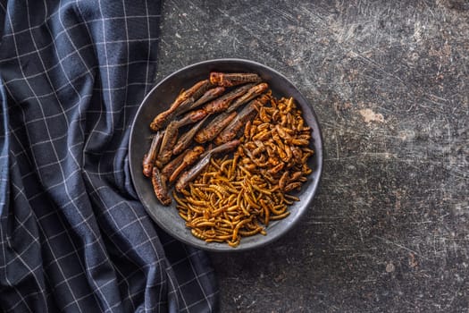 Dried salted insect. Mealworms, grasshoppers and crickets on plate on a black table. Top view.