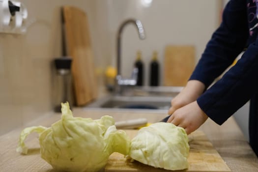 little girl daughter cooking together cutting cabbage kitchen make dinner lunch bond little helper . High quality photo
