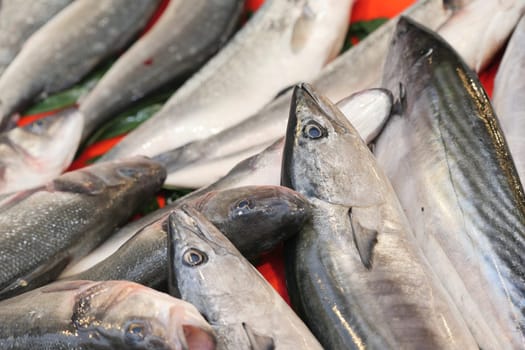 A beautifully arranged assortment of fresh fish on a vibrant bustling market display